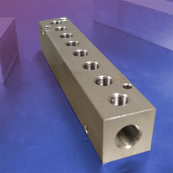 Station Npt F Input Stainless Steel Manifold Station Npt F Input Stainless